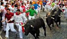Go Running with the Bulls
